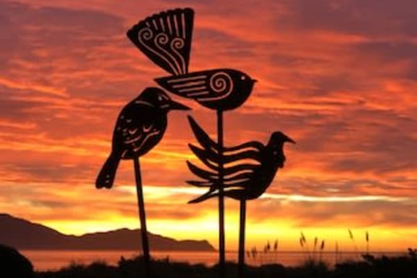 House sit in Waikanae Beach, New Zealand