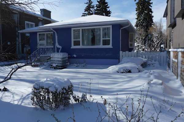 House sit in Calgary, AB, Canada
