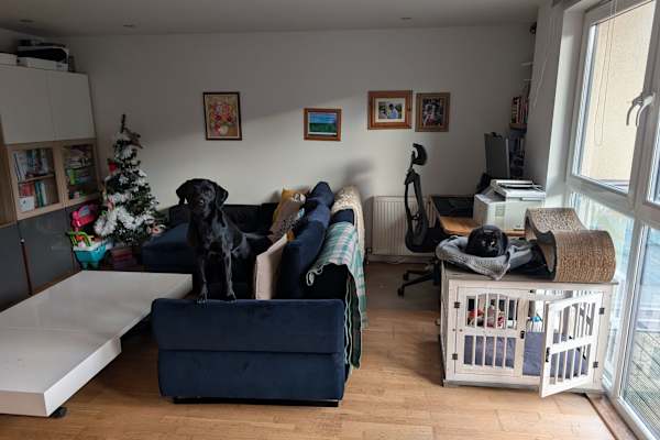 House sit in Edinburgh, United Kingdom