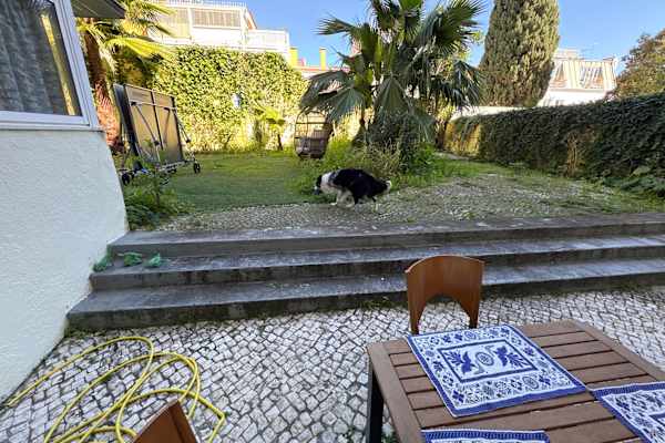 House sit in Lisbon, Portugal