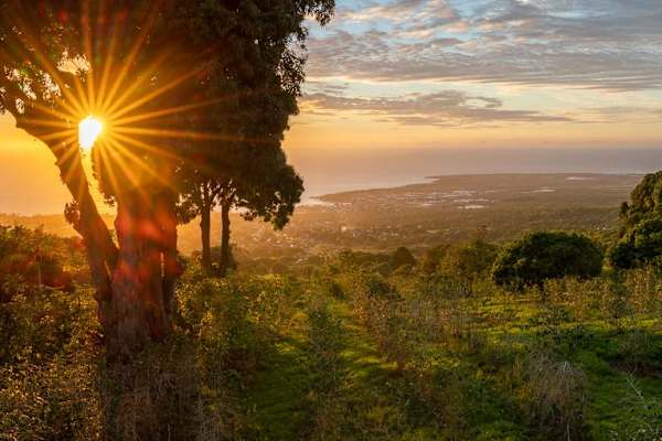House sit in Hōlualoa, HI, US