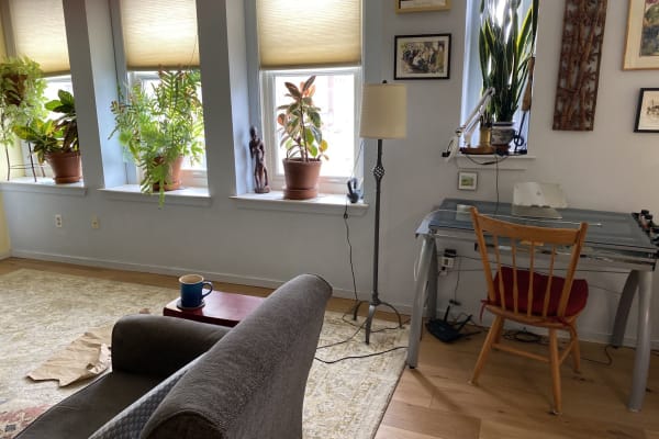 House sit in Burlington, VT, US