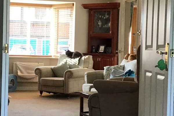 House sit in Nottingham, United Kingdom