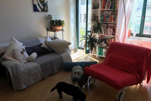 House sit in Dresden, Germany