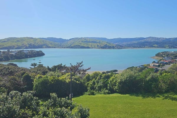 House sit in Porirua, New Zealand