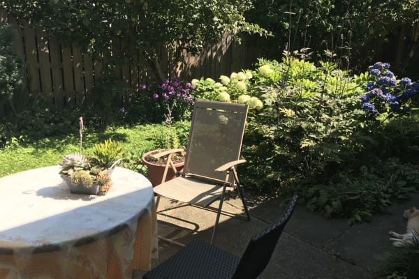 House sit in Comox, BC, Canada