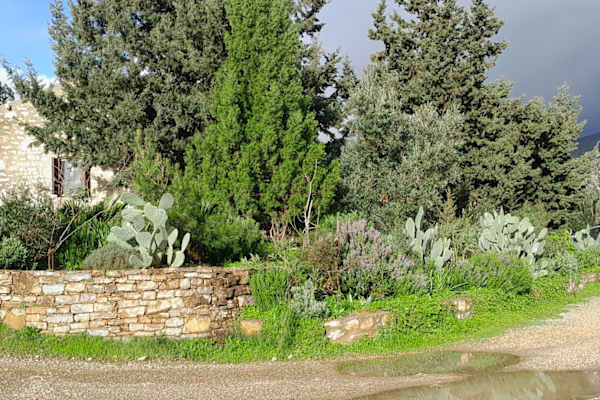 House sit in Datça, Turkey