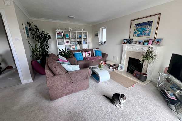 House sit in Truro, United Kingdom