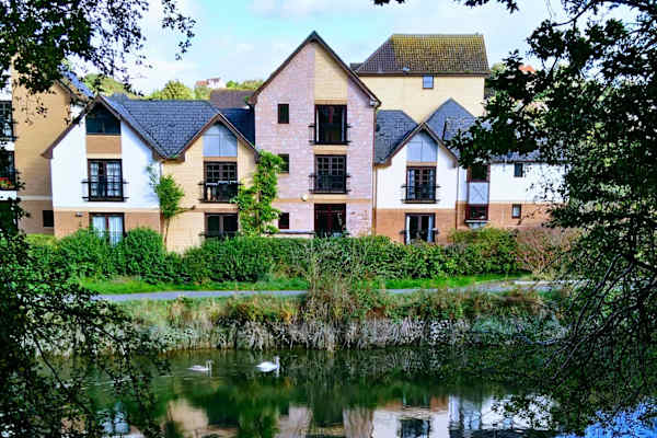 House sit in Bristol, United Kingdom