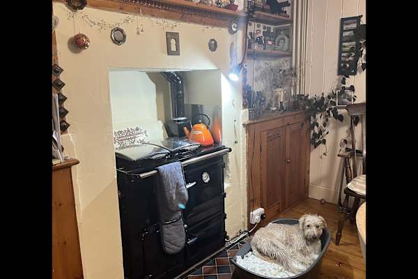 House sit in Canterbury, United Kingdom