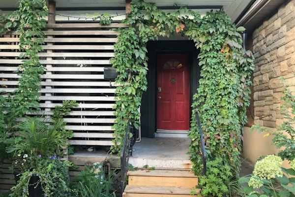 House sit in Toronto, ON, Canada