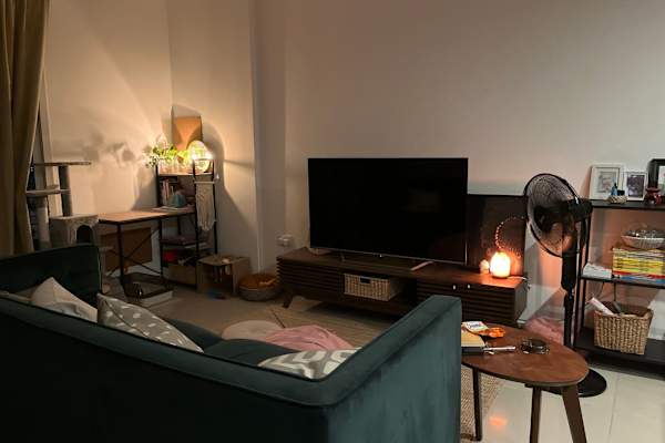 House sit in Abu Dhabi, United Arab Emirates