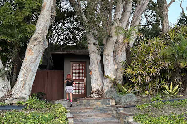 House sit in El Segundo, CA, US