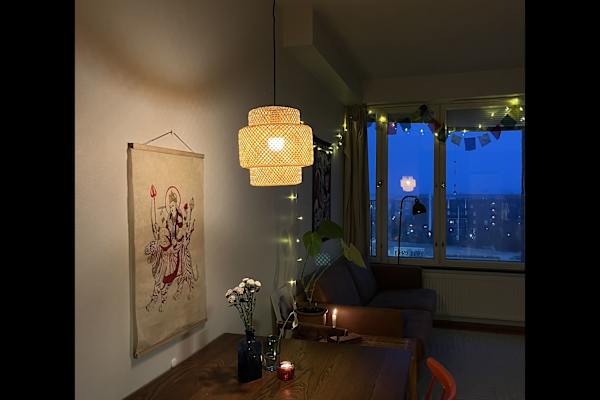 House sit in Helsinki, Finland