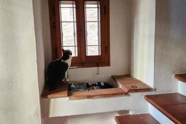 House sit in Perugia, Italy