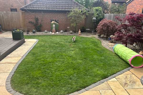 House sit in Milton Keynes, United Kingdom