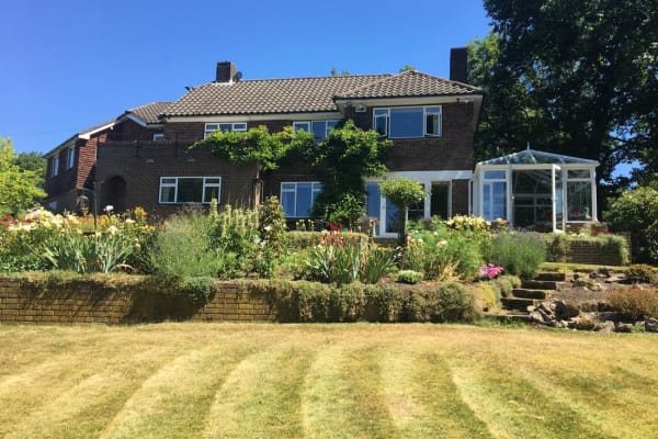 House sit in Orpington, United Kingdom