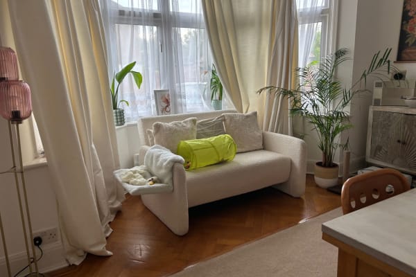 House sit in London, United Kingdom