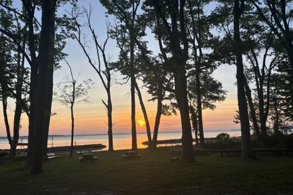 House sit in Saluda, VA, US