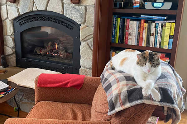 House sit in Edmonds, WA, US