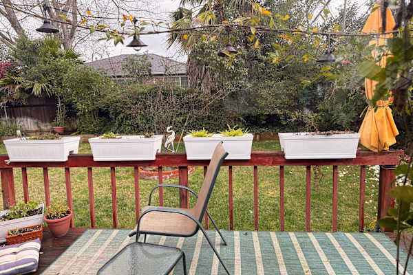 House sit in Sacramento, CA, US