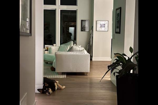 House sit in Nanaimo, BC, Canada