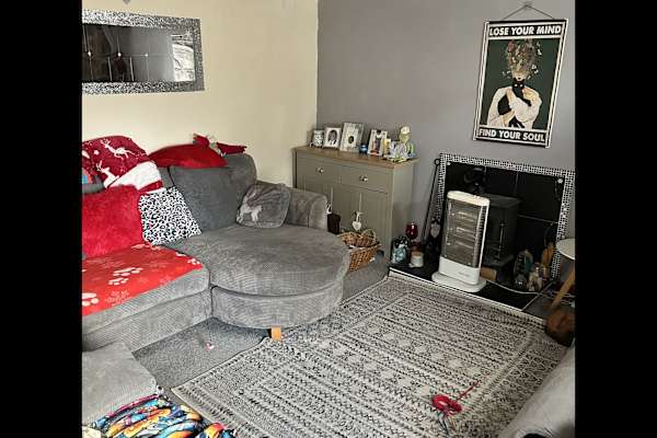 House sit in Redruth, United Kingdom