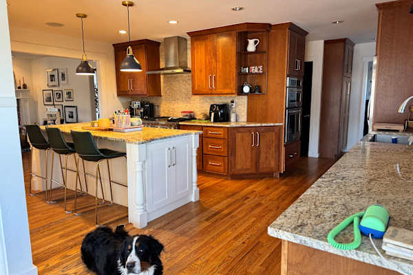 House sit in Boulder, CO, US