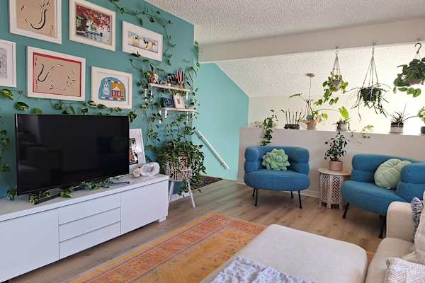 House sit in St. Petersburg, FL, US