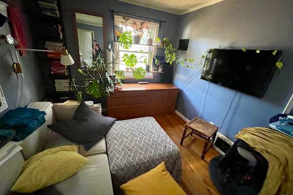 House sit in North Portland, OR, US