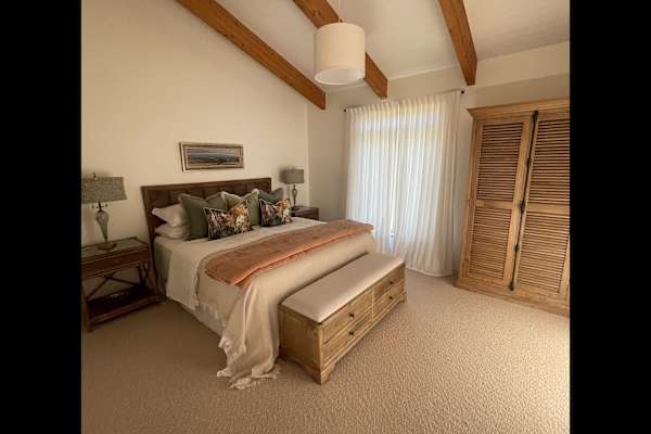 House sit in Nelson, New Zealand