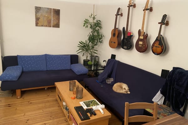 House sit in Berlin, Germany