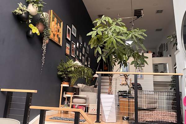 House sit in Hoboken, NJ, US