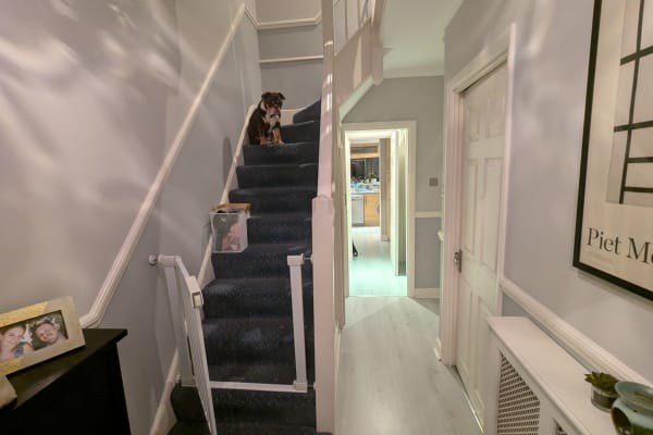 House sit in Morden, United Kingdom