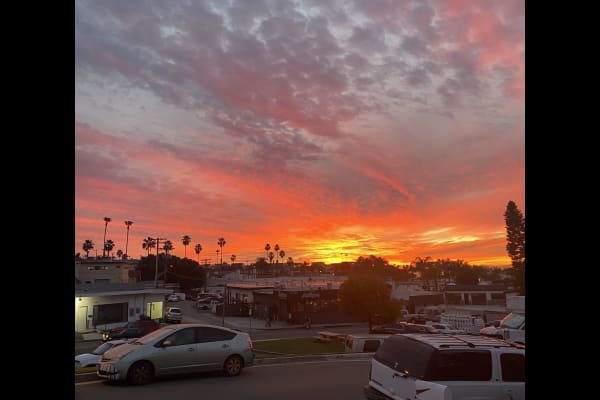 House sit in San Clemente, CA, US