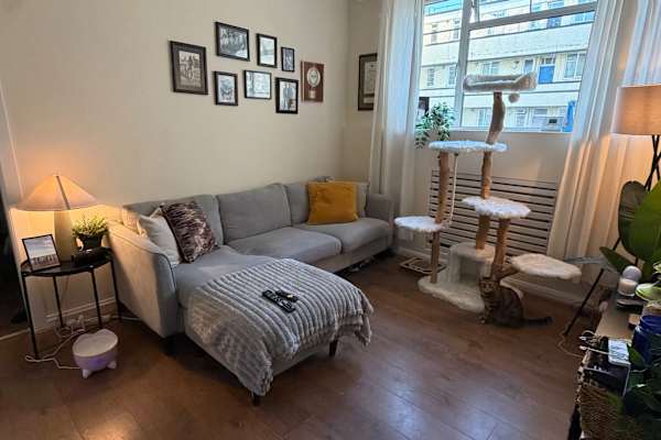 House sit in London, United Kingdom