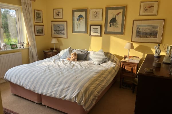 House sit in Stockbridge, United Kingdom