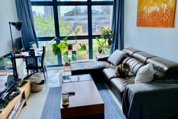House sit in Singapore, Singapore