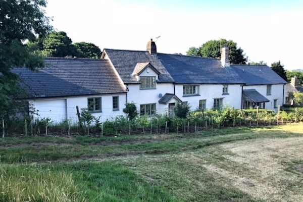 House sit in Chagford, United Kingdom