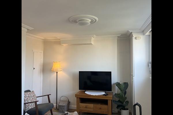 House sit in City of London, United Kingdom
