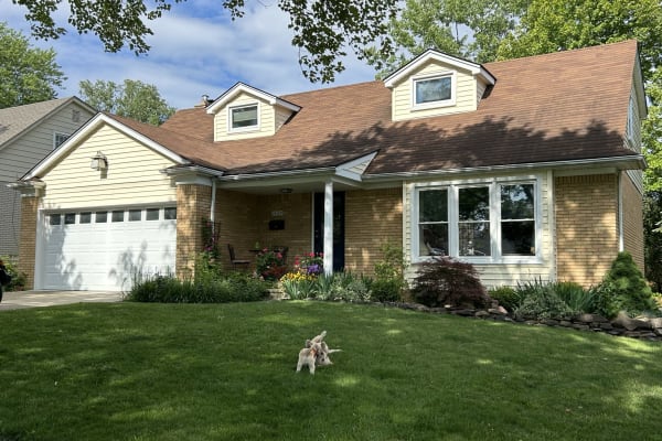 House sit in Detroit, MI, US