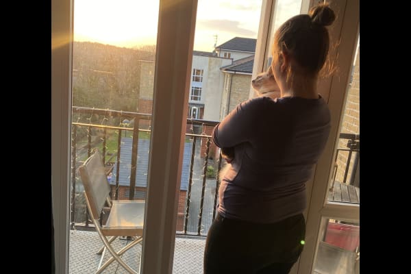 House sit in High Wycombe, United Kingdom