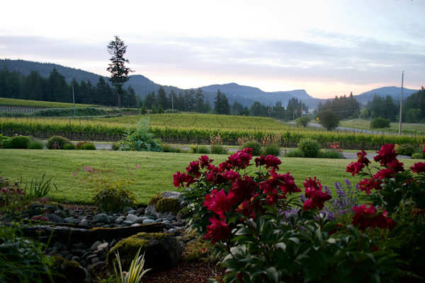 House sit in Duncan, BC, Canada