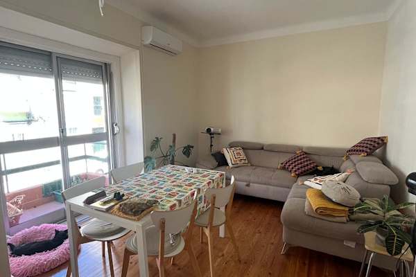 House sit in Lisbon, Portugal