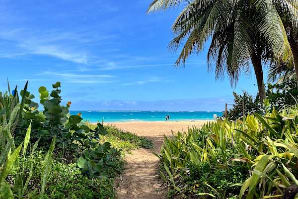 House sit in San Juan, Puerto Rico