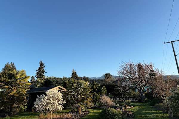 House sit in Port Angeles, WA, US