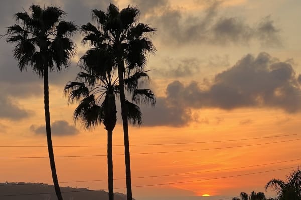 House sit in Carlsbad, CA, US