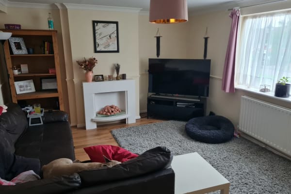 House sit in Staines, United Kingdom