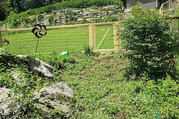 House sit in Cashiers, NC, US