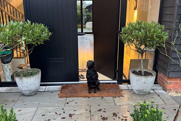 House sit in Winchester, United Kingdom